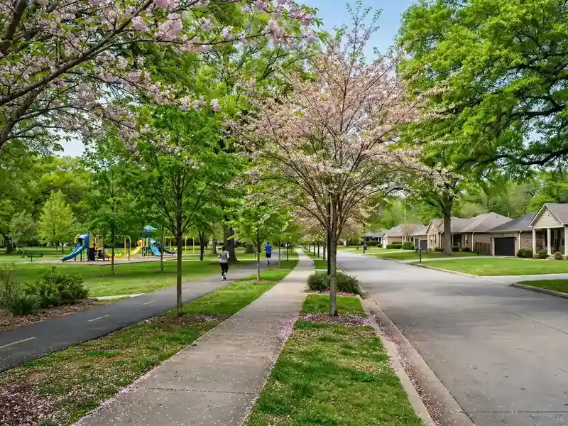 Park-adjacent street with flowering trees in Cherry Tree Park, Southaven MS